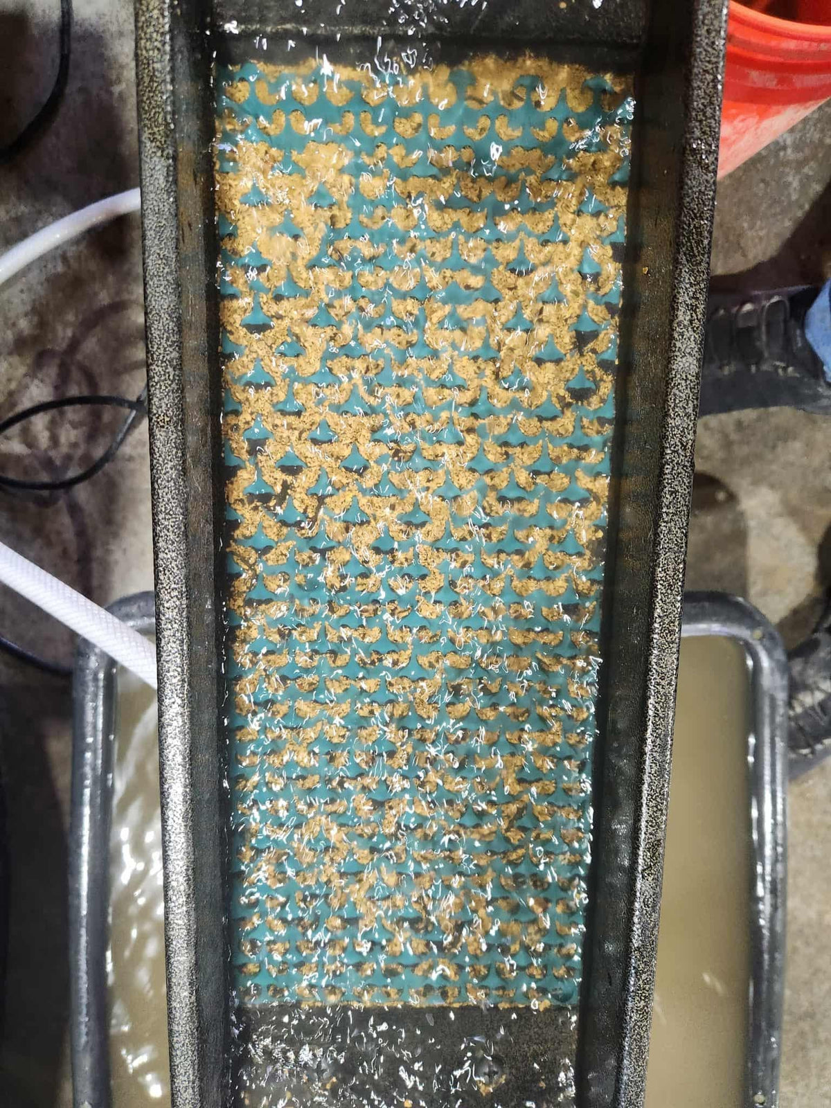 Dream Mat - (Factory 2nds) Micro-Dredge Mat for Buddy | Gold Prospecting Equipment - Sluice Mat - Prospectors Dream